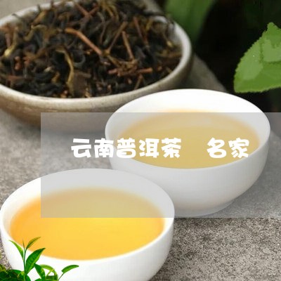 云南普洱茶 名家/2023041172161